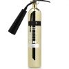 foam fire extinguisher by Fire and Safesty Systems LTD