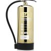 foam fire extinguisher by Fire and Safety Systems LTD